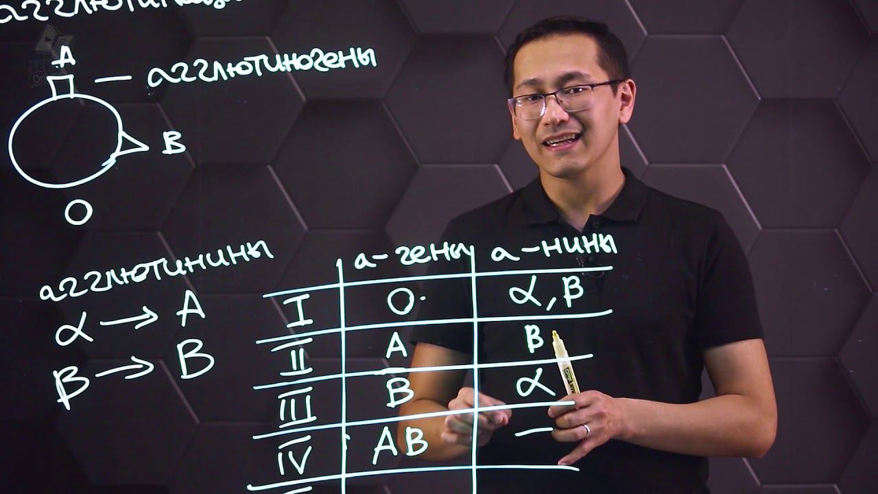 Группы крови и ее переливание. Резус-фактор. 8 класс. смотреть онлайн