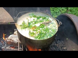 Дегустация рыбных консервов . / Варили УХУ на мангале.