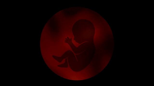 3 Hour Womb Sounds For Baby Sleep