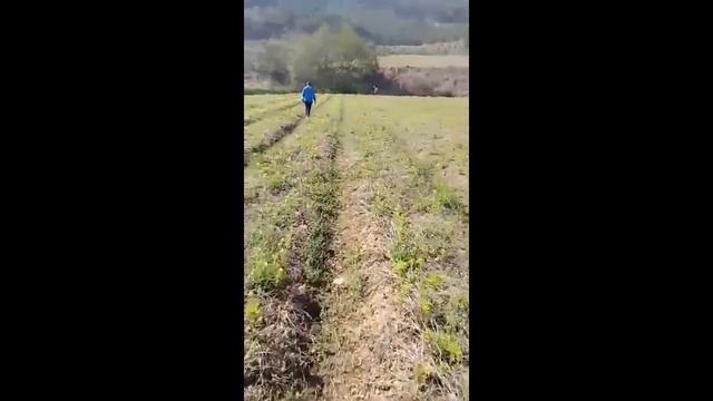 РАБОТА В ЮЖНОЙ КОРЕЕ. АРБАЙТен на поле. Плюс переработка. смотреть онлайн
