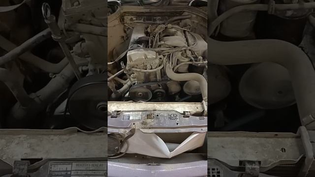 Рев мотора Мерседес. 4 цилиндра. 2.0. смотреть онлайн