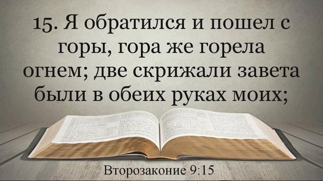 Лучшая Видео Библия. Чтение Второзаконие. Главы 8-10. Синодальный перевод смотреть онлайн