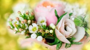 Футаж. Цветочный фон 45