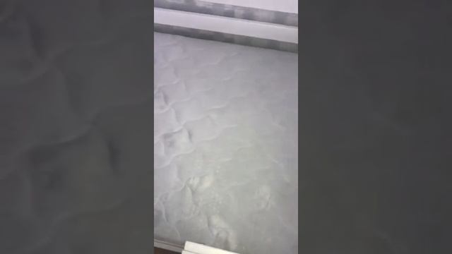 Отзыв о матрасе Promtex Orient Soft Combi Strutto 2 90*180 и магазине "анатомия сна" смотреть онлайн