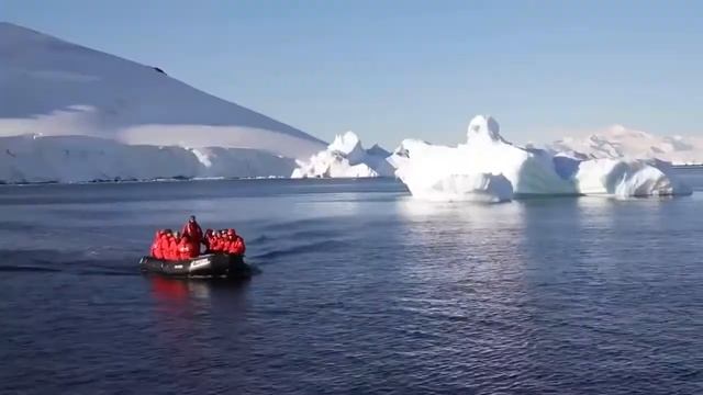 Круизы в Антарктиду смотреть онлайн