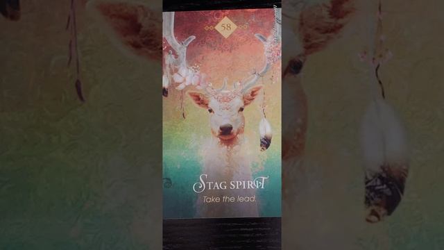Stag Spirit ? Take the Lead ? Spirit Animal Oracle card meaning смотреть онлайн