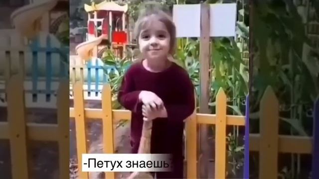 Кто такой цыпленок смотреть онлайн