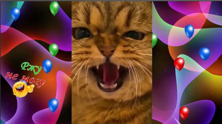 Подборка Самые Смешных Видео с Кошками ? ... смотреть онлайн