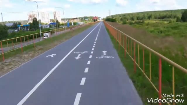 Пёс тренируется вместе со мной смотреть онлайн