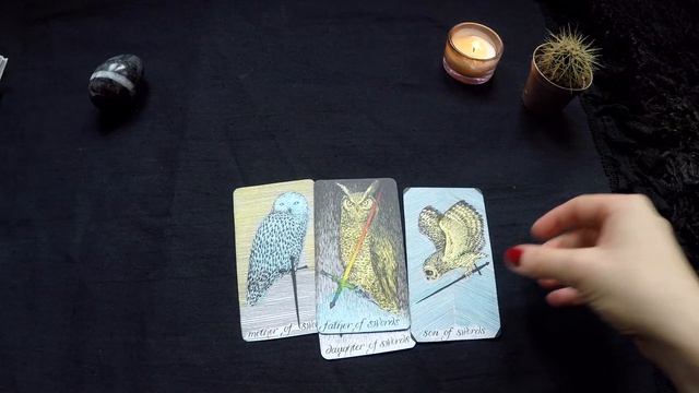Reconnecting To The Wild Unknown Tarot смотреть онлайн