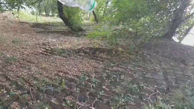 Аномальная зона