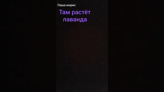 Симба###Паша Морис###пумба###симба смотреть онлайн