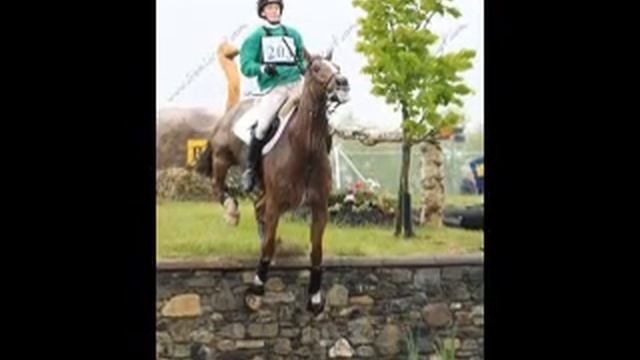 Tattersals Eventing смотреть онлайн