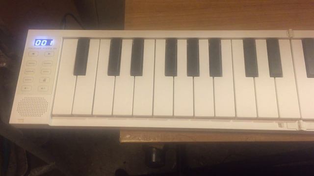 Carry On Folding Piano 88 Rewiew