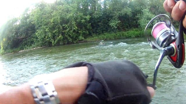 Рыба на Воле