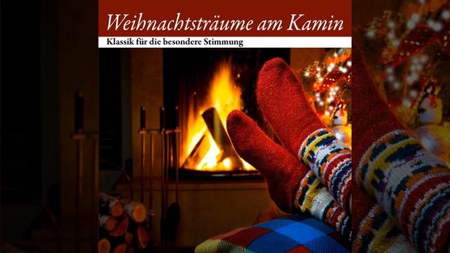 Konzert für Violine, Streicher und Basso continuo Nr. 3 in D minor, BWV 1043 II. Largo ma non... смотреть онлайн