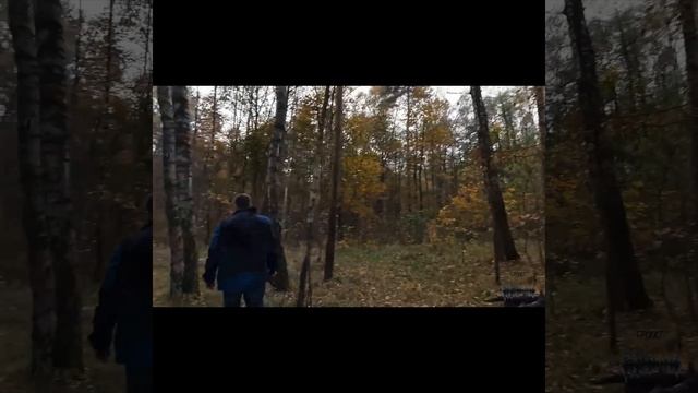 Набор Fiskars