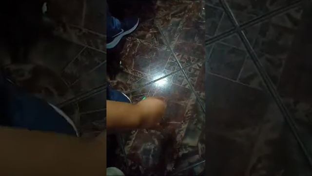 Piton led смотреть онлайн