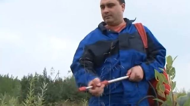 Учения в лесном массиве 04 08 2020