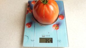 Томат Гусиное яйцо