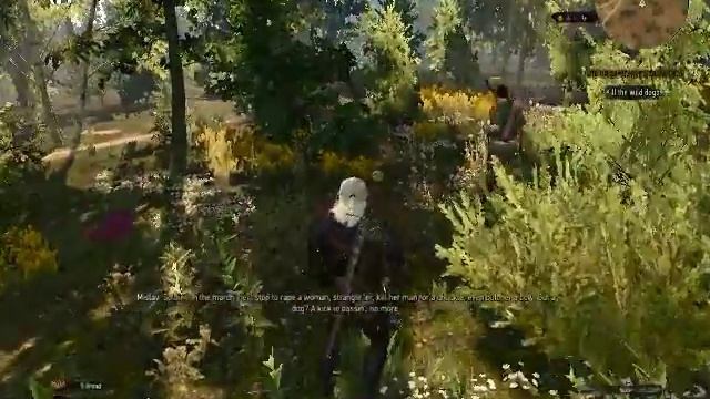 The Witcher 3 - gameplay part 2(i3 370m,480p,low settings) смотреть онлайн