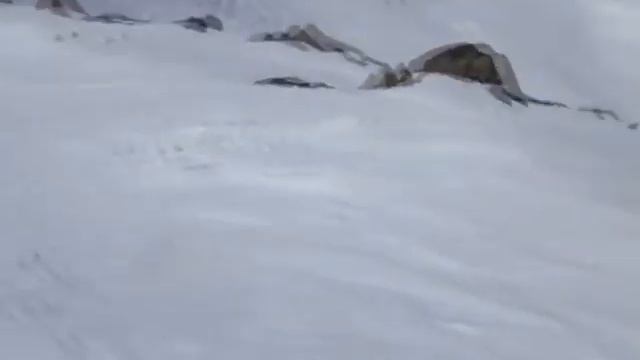 Версия 1250 рэ смотреть онлайн