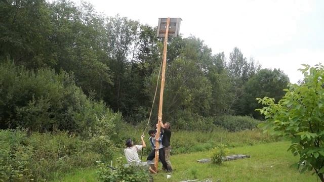 Установка нового дома для летучих мышей смотреть онлайн