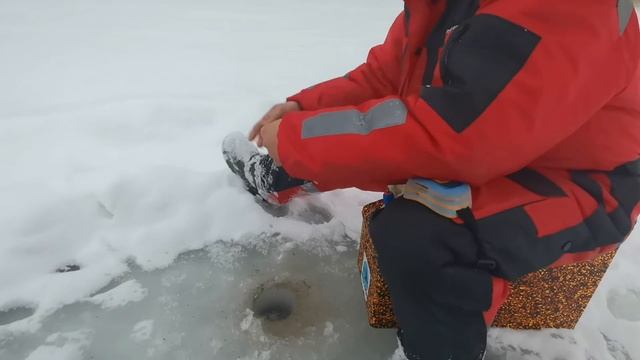 Глухое Новосибирск поворот озера локация по плотве и окуню смотреть онлайн