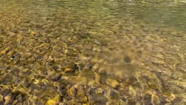 Крупный северный хариус смотреть онлайн