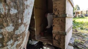? Временный туалет своими руками из мусора