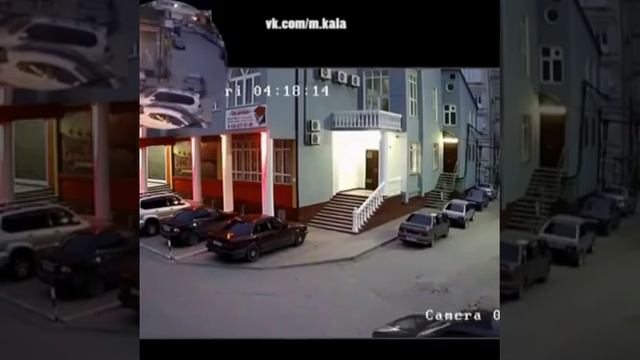 Массовый отстрел собак в Дагестане смотреть онлайн