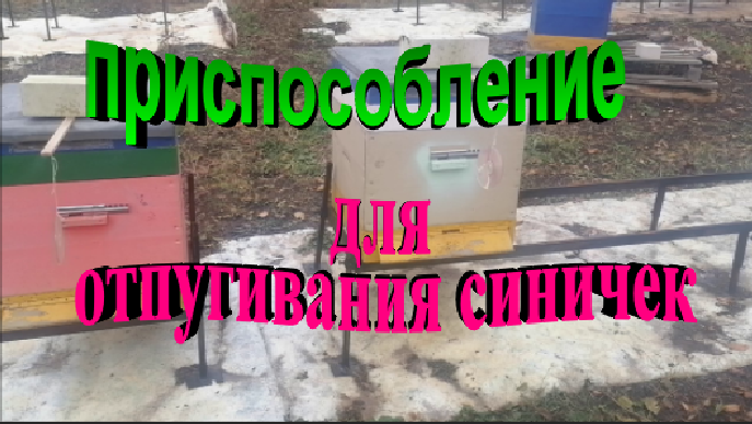 Приспособление для отпугивания синичек на пасеке смотреть онлайн