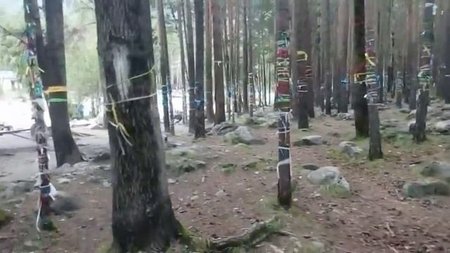 ПРОСТО СХОДИЛИ НА ИСТОЧНИК АРШАН