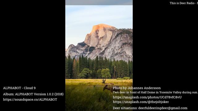 Deer Radio 24/7: find your favorite music while having unique audio visual deer experience! смотреть онлайн