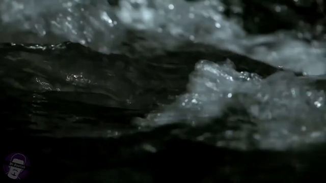 'Black Water: Abyss' (2020) Review | Sarcastic Synopsis смотреть онлайн