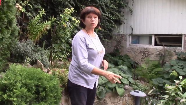 И ПРУД И САД КАМНЕЙ, ВСЁ ВОСХИЩАЕТ! смотреть онлайн