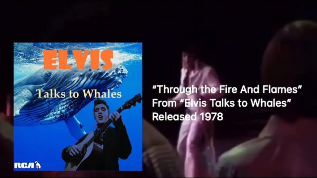 Did you know these were Elvis songs? смотреть онлайн