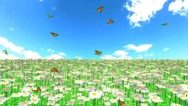 Футаж Ромашковое поле. Красивый Фон с ромашками и бабочками смотреть онлайн