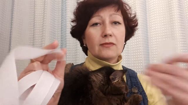 как отучить кота расчесывать себя ОЧЕНЬ ПРОСТО смотреть онлайн