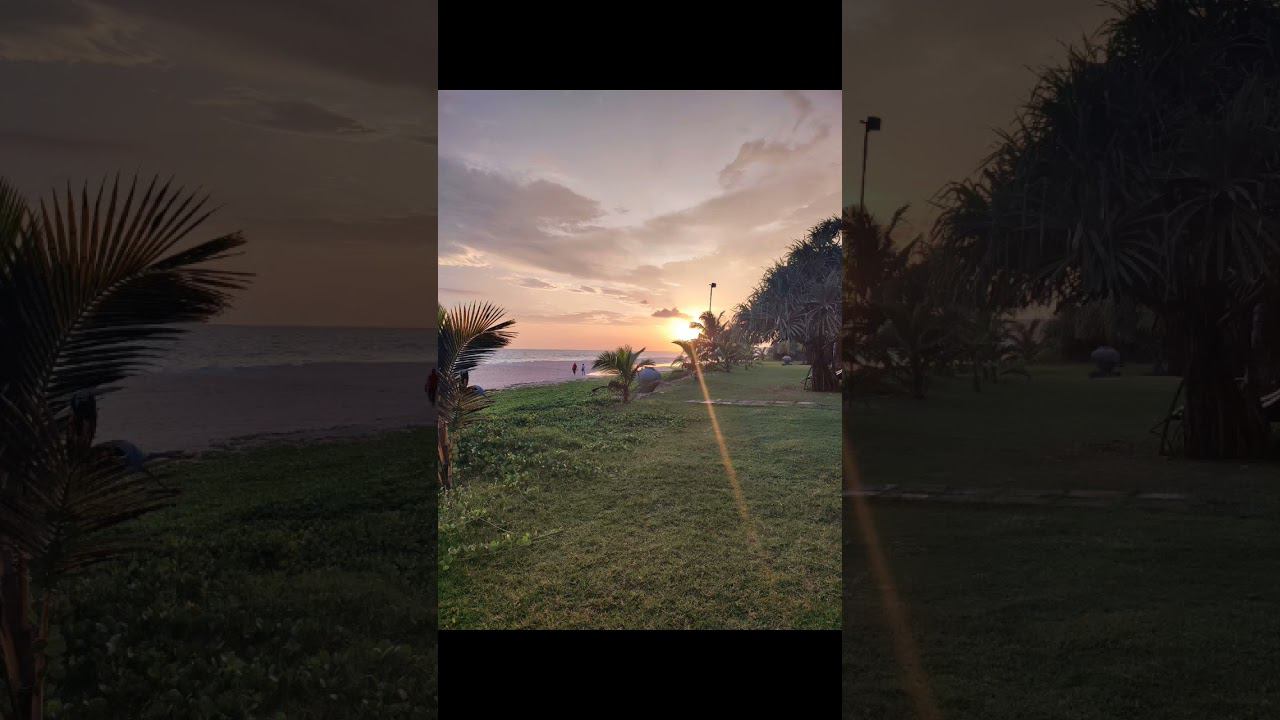 Отпуск на Шри-Ланке 2023! смотреть онлайн