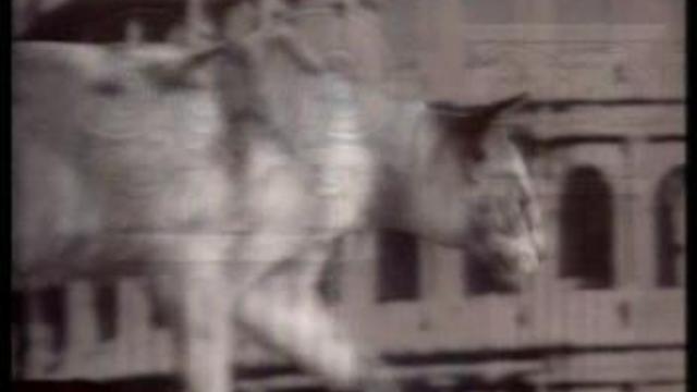 Кошки-Помошник или вредитель смотреть онлайн