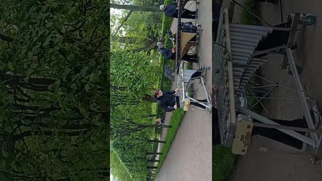 Питер, музыканты в парке. Петергоф. смотреть онлайн