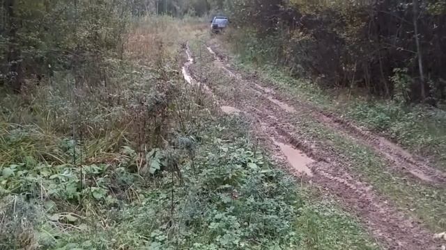 К Старому Селу через Елегино. Красивое здание бывшей школы в глухих лесах! смотреть онлайн