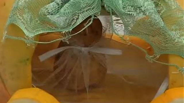 4 День урожая смотреть онлайн