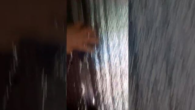 Баня своими руками 5 Плитка смотреть онлайн