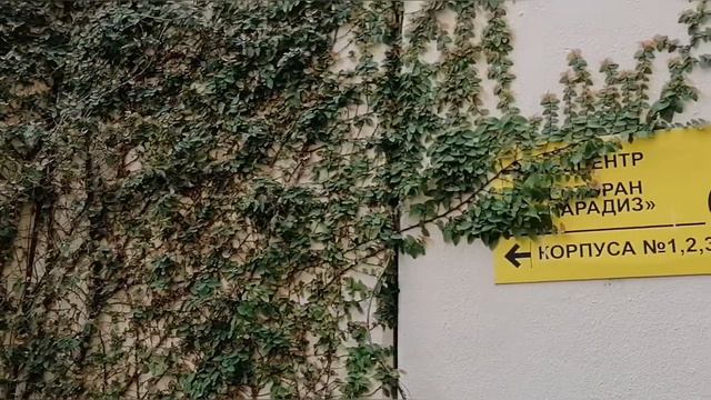 Отдых. Сочи. Аква Лоо. Обзор территории. смотреть онлайн