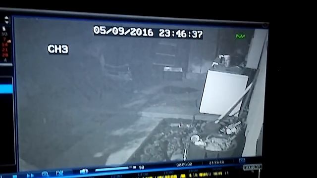 Crazy orb (ball of light) interacting with me in my backyard смотреть онлайн