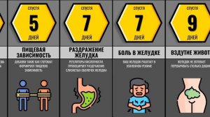 Что Если Кушать Только Доширак?