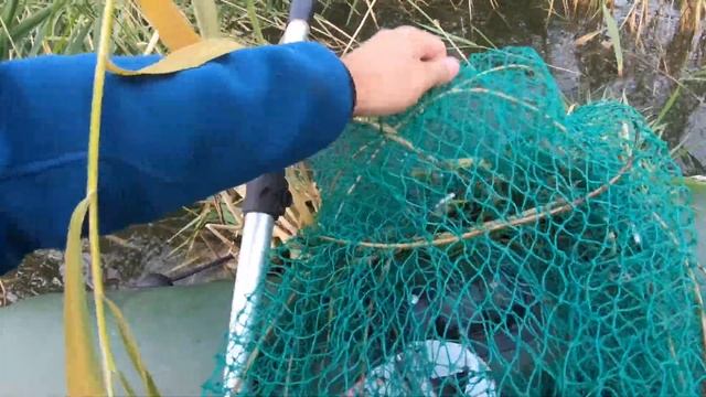 МАЙБАЛЫК РЫБАЛКА 31.08.2021г. Дорога на озеро! смотреть онлайн