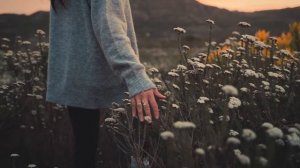 Девушка идёт по полю.  Музыка. Красота.